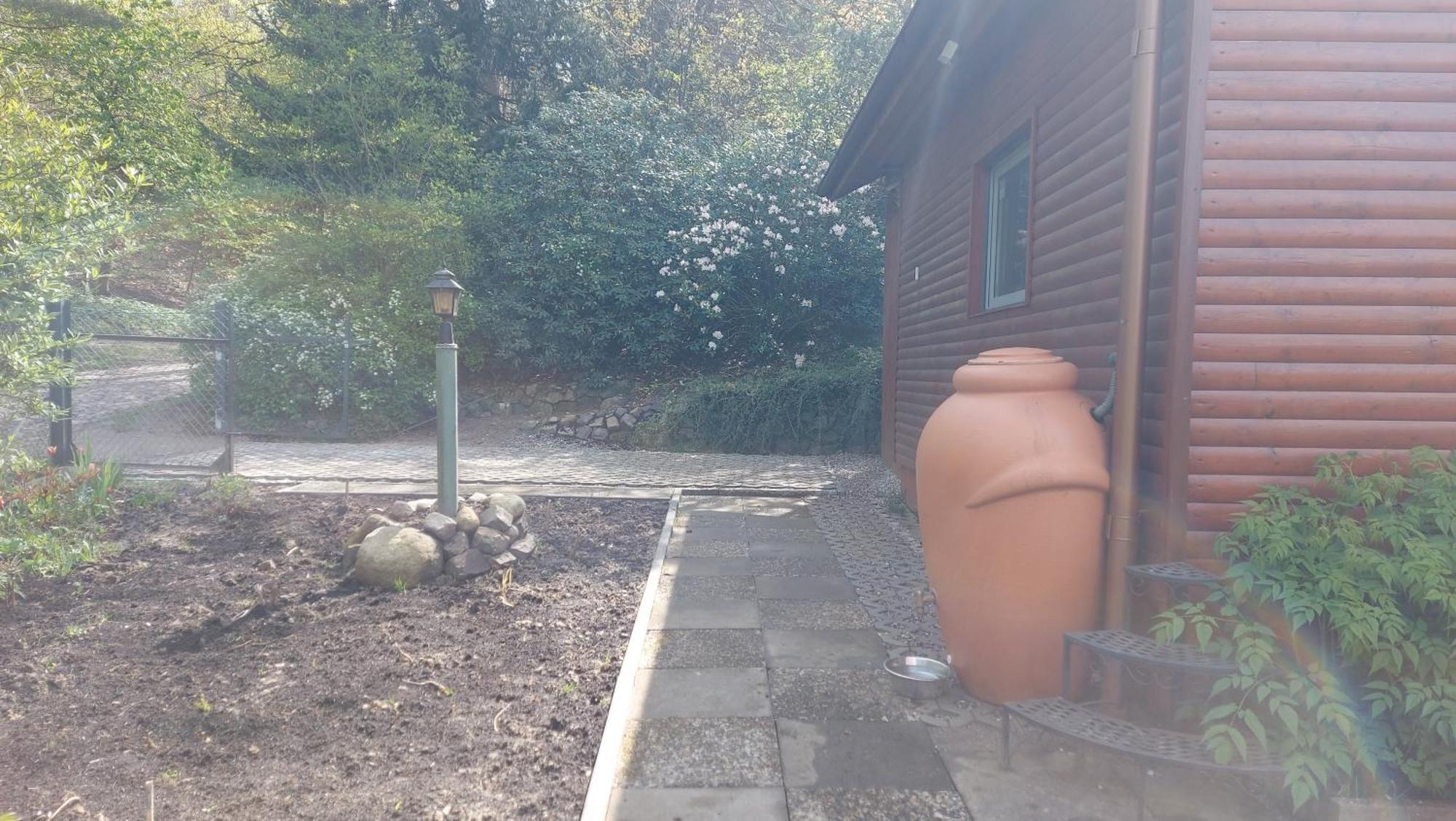 Ferienhaus In Geesthacht-Tesperhude Direkt Am Waldrand Exterior photo