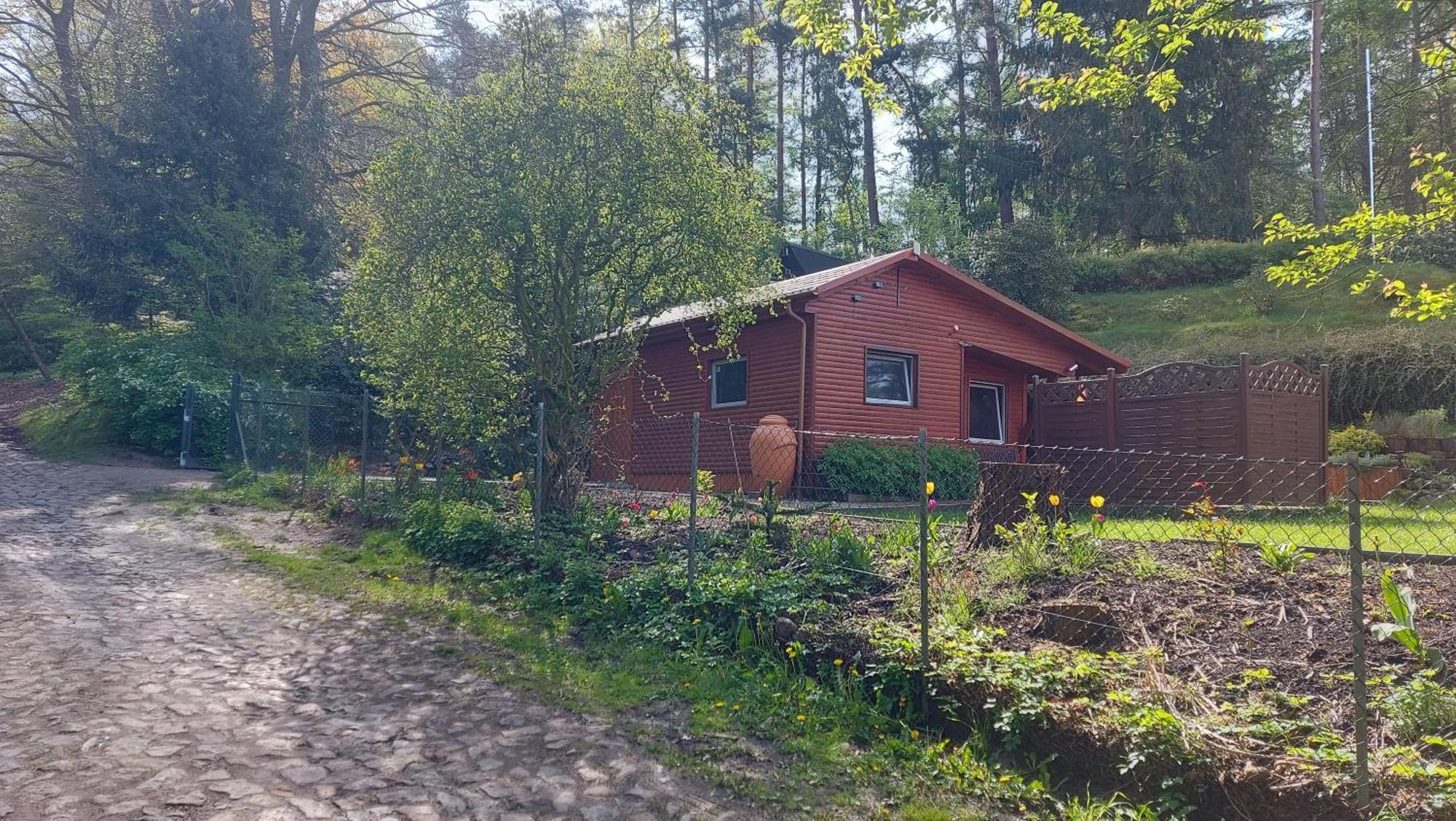 Ferienhaus In Geesthacht-Tesperhude Direkt Am Waldrand Exterior photo